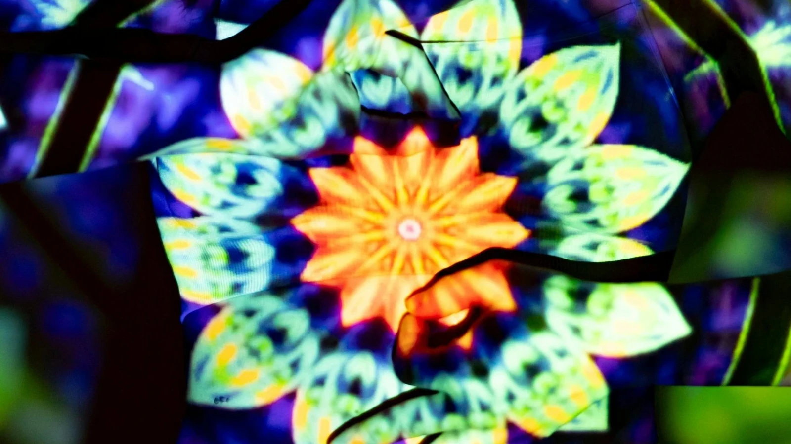 Wechseljahre – Wandeljahre