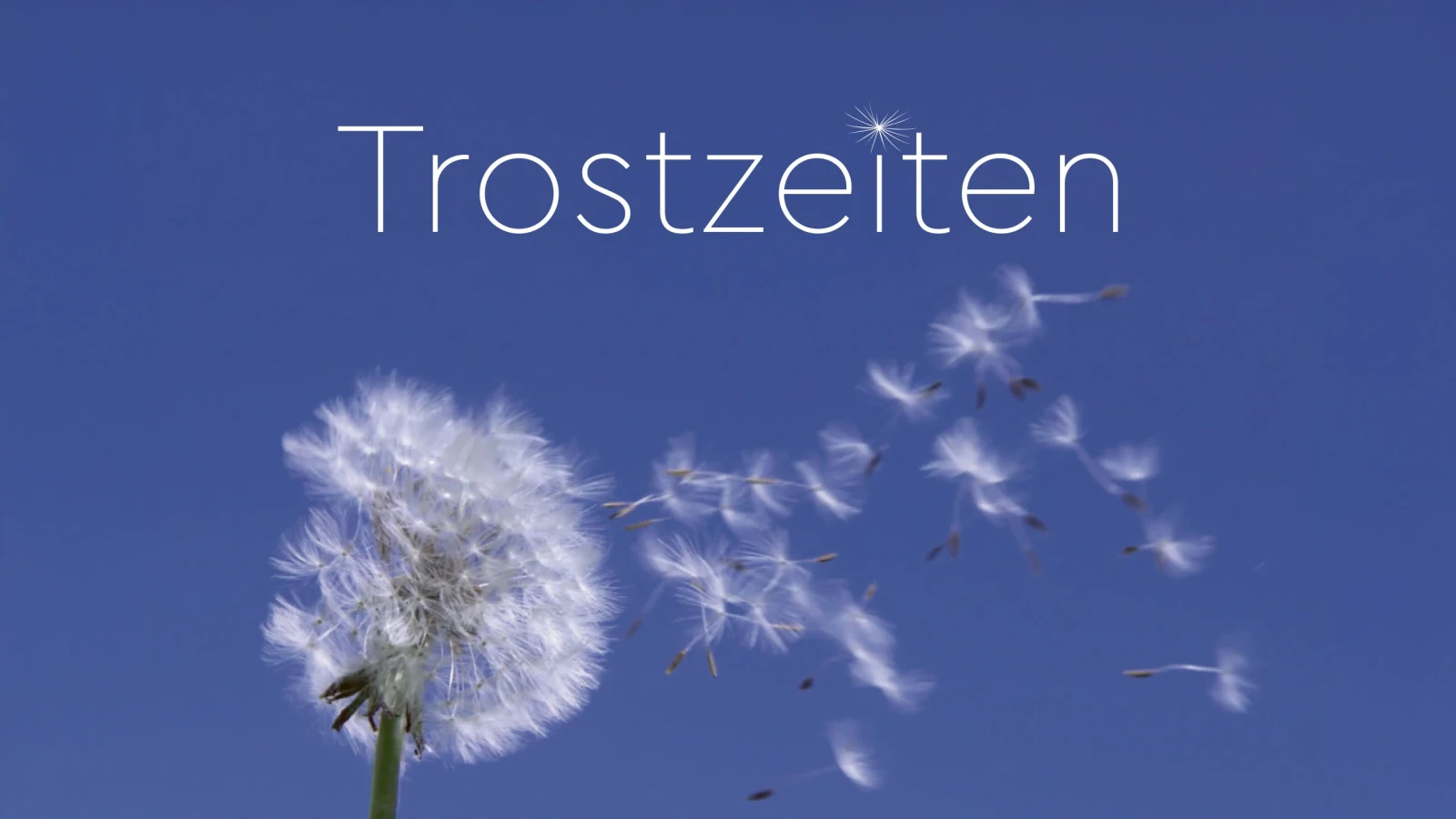 Die Trostzeiten gehen online